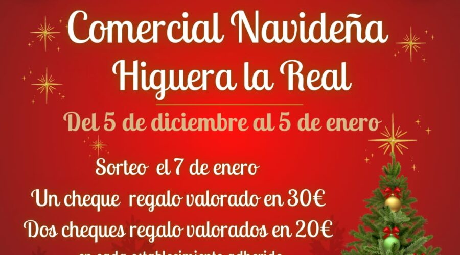 VI Campaña Comercial Navideña